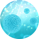 stem cell therapy